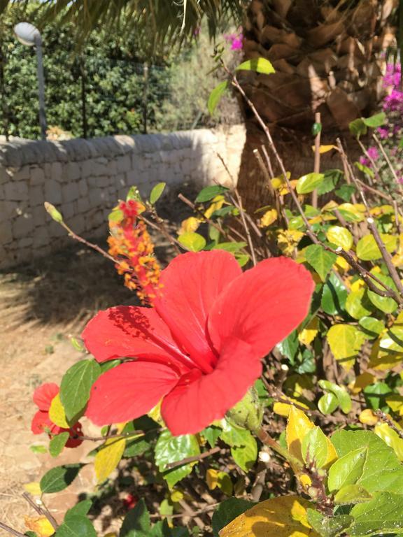 Hibiscus Rosso Villa Donnalucata  Luaran gambar